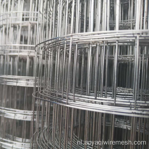 1/4 inch PVC gecoate/gegalvaniseerde gelaste draadgaas